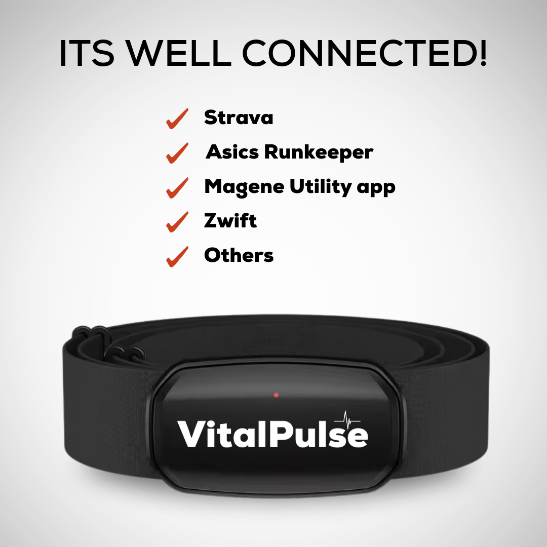 VitalPulse - Heart Rate Monitor